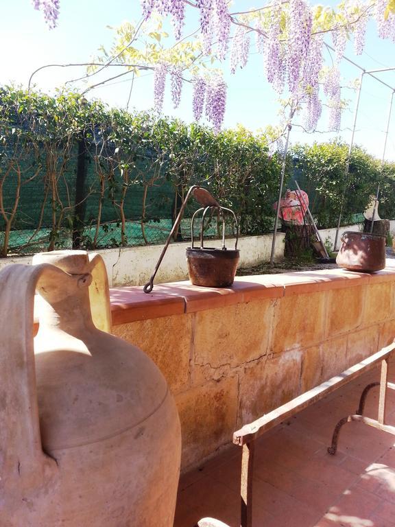 Assoro B&B La Casa Dell'Artista מראה חיצוני תמונה